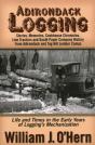 Adirondack Logging - Preview
