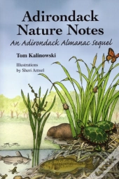 Adirondack Nature Notes