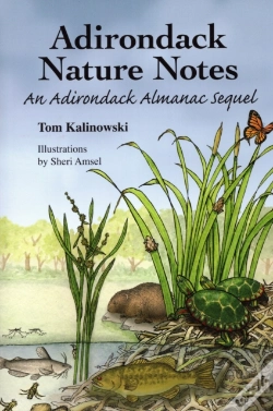 Capa do artigo Adirondack Nature Notes