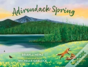 Capa do artigo Adirondack Spring