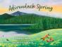 Adirondack Spring - Preview