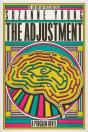 Adjustment - Preview