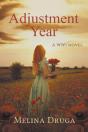 Adjustment Year - Preview
