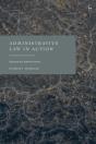 Administrative Law In Action - Preview