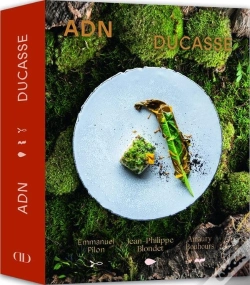 Capa do artigo Adn : Ducasse