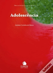 Capa do artigo Adolescência