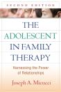 Adolescent In Family Therapy - Preview