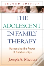 Adolescent In Family Therapy