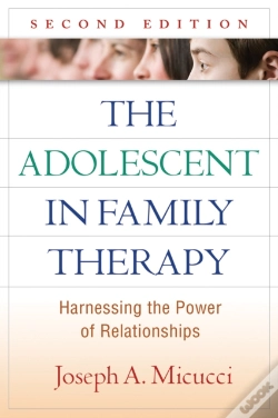 Capa do artigo Adolescent In Family Therapy