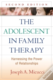 Capa do artigo Adolescent In Family Therapy