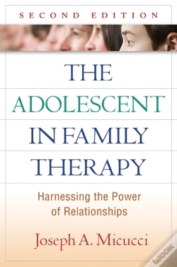 Capa do artigo Adolescent In Family Therapy