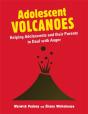 Adolescent Volcanoes - Preview