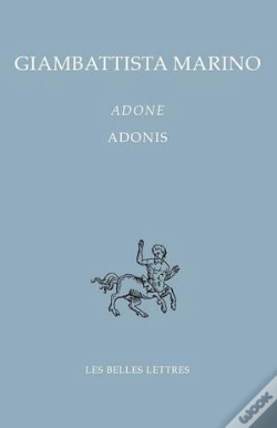 Capa do artigo Adone / Adonis
