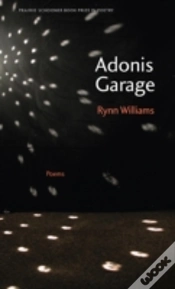 Capa do artigo Adonis Garage