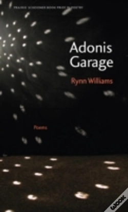Capa do artigo Adonis Garage