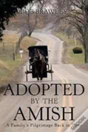 Capa do artigo Adopted By The Amish