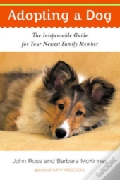 Adopting A Dog