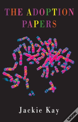 Capa do artigo Adoption Papers