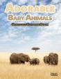 Adorable Baby Animals Grayscale Coloring Book - Preview