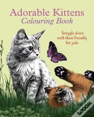 Adorable Kittens Colouring Book