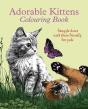 Adorable Kittens Colouring Book - Preview