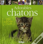 Adorables Chatons ; 200 Bébés Chats