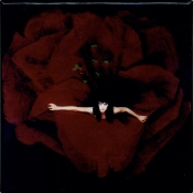Capa do artigo Adore - CD