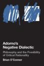 Adorno'S Negative Dialectic - Preview