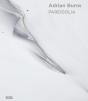 Adrian Burns : Pareidolia - Preview