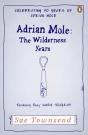 Adrian Mole: The Wilderness Years - Preview