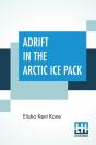 Adrift In The Arctic Ice Pack - Preview