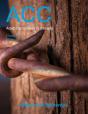 Adult Corrections In Canada, Second Edition - Preview