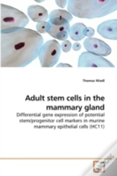 Adult Stem Cells In The Mammary Gland