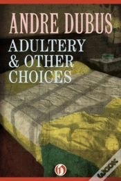 Capa do artigo Adultery & Other Choices
