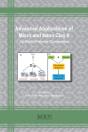 Advanced Applications Of Micro And Nano Clay Ii - Preview