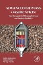 Advanced Biomass Gasification - Preview