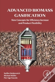 Capa do artigo Advanced Biomass Gasification