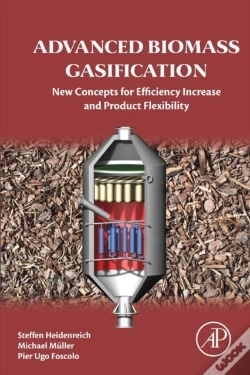 Capa do artigo Advanced Biomass Gasification