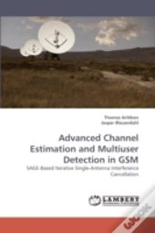 Advanced Channel Estimation And Multiuser Detection In Gsm