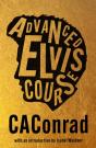 Advanced Elvis Course - Preview