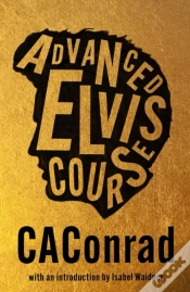 Capa do artigo Advanced Elvis Course
