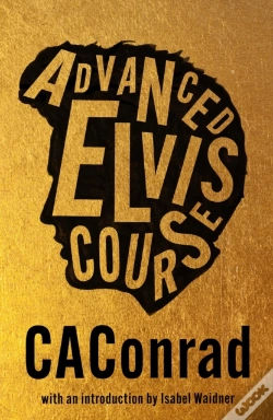 Capa do artigo Advanced Elvis Course