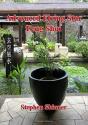 Advanced Flying Star Feng Shui - Preview