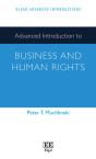 Advanced Introduction To Business And Human Rights - Preview