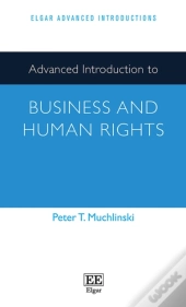Advanced Introduction To Business And Human Rights