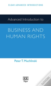 Capa do artigo Advanced Introduction To Business And Human Rights