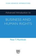 Advanced Introduction To Business And Human Rights