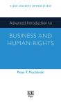 Advanced Introduction To Business And Human Rights - Preview