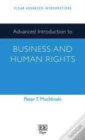 Advanced Introduction To Business And Human Rights