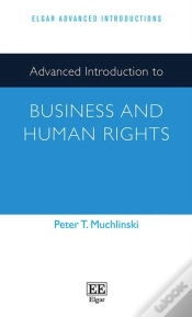Capa do artigo Advanced Introduction To Business And Human Rights